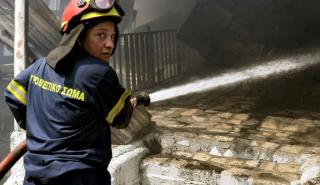 Άνιση μάχη με τις πύρινες γλώσσες στην Αλεξανδρούπολη: «Μπαράζ» μηνυμάτων από 112 για εκκενώσεις οικισμών