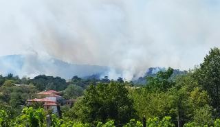 Για έκτη συνεχόμενη ημέρα καίγεται ο Έβρος: Μάχη να σβηστεί η φωτιά στη Δαδιά