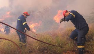 Μαίνεται η πυρκαγιά στη Βοιωτία - Εκκενώθηκαν Στείρι και Ζάλτσα