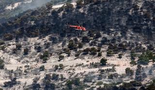 Πυροσβεστική: Διευκρινίσεις για την πυρκαγιά στην Πάρνηθα
