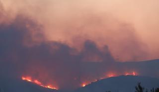 Καίγεται για 4η μέρα η Αλεξανδρούπολη - Μεγάλη η φωτιά στην Εύβοια - Στις φλόγες το παραλιακό μέτωπο της Βοιωτίας