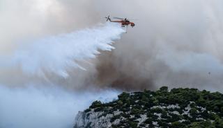 Πυρκαγιά σε δασική έκταση στο Στεφάνι Κορινθίας