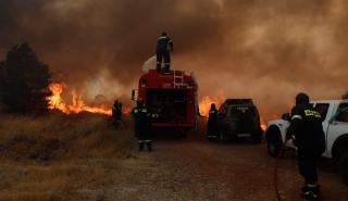 Ενισχύθηκαν οι δυνάμεις στην πυρκαγιά στον Πισσώνα Ευβοίας