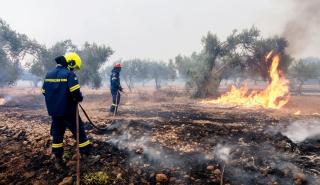 Σε ένα μέτωπο πλέον η πυρκαγιά στην Εύβοια, πέφτουν οι ισχυροί άνεμοι