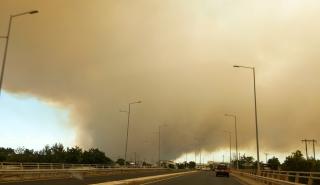 ΕΕ: Στην Αλεξανδρούπολη η μεγαλύτερη πυρκαγιά στην Ευρώπη από τη δεκαετία του '80