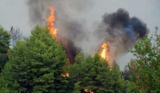 Πυροσβεστική: Συνολικά 88 αγροτοδασικές πυρκαγιές εκδηλώθηκαν το τελευταίο 24ωρο