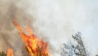 Φωτιά στην Κάρυστο: Ενισχύθηκαν οι δυνάμεις της Πυροσβεστικής - Καίει σε δύσβατη περιοχή