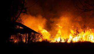 Συνεχίζεται η μάχη με τις πυρκαγιές στην Πορτογαλία, στο έλεος καύσωνα η Ισπανία