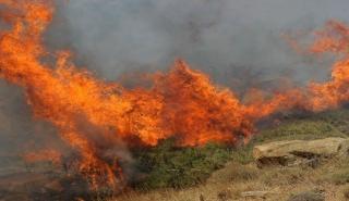 Σε εξέλιξη πυρκαγιά στο Μονόπυλο Καστοριάς κοντά στα σύνορα με την Αλβανία