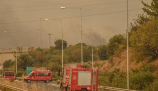 Έβρος: Συνεχίζεται η μάχη με τις φλόγες για 15η μέρα