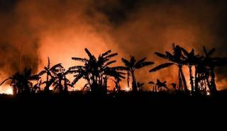 Βραζιλία: Η πρωτεύουσα της πολιτείας Αμαζόνας της Βραζιλίας πνίγεται από τους καπνούς των πυρκαγιών