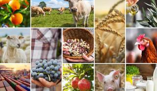 Κομισιόν: Οι Ευρωπαίοι γεωργοί διατηρούν την παραγωγή τους παρά τα δυσμενή καιρικά φαινόμενα
