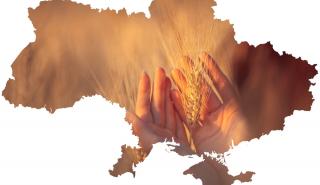 Ποιος θα πληρώσει το μάρμαρο που δεν θα σπείρουν φέτος αρκετά σιτηρά οι Ουκρανοί αγρότες;