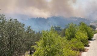 Περισσότερες από 20 συλλήψεις για εμπρησμούς από την αρχή του έτους