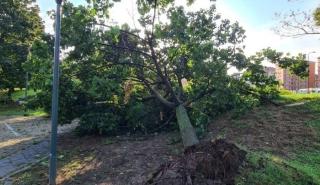 Θεσσαλονίκη: 150 κλήσεις δέχθηκε η Πυροσβεστική – Στα 106 χλμ/ώρα οι ριπές του ανέμου