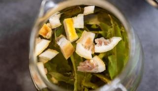 Σημαντική διάκριση για Ελληνίδα παραγωγό βοτάνων σε διαγωνισμό του Ευρωπαϊκού Ινστιτούτου Έρευνας και Τεχνολογίας