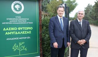 Ο Όμιλος Motor Oil συνεχίζει τη στήριξή του στο Εκκοκκιστήριο και Φυτώριο Αμυγδαλέζας