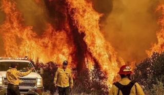 Ζάκυνθος: Πυρκαγιά στο χωριό Αγαλάς