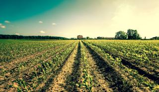Έως και 344 εκατ. λιγότερες γεωργικές εκμεταλλεύσεις μέχρι το 2100!
