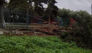 Θεσσαλονίκη: Κλειστά δύο σχολεία τη Δευτέρα στην Πυλαία λόγω πτώσης δέντρων