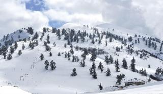 Κοζάνη: 10 εκατ. ευρώ για το Χιονοδρομικό Κέντρο Βασιλίτσας Γρεβενών