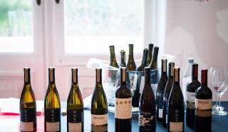 ΟΙΝΟ VINO – Ελληνικός & Ιταλικός αμπελώνας