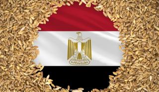 Αίγυπτος: Ο μεγαλύτερος εισαγωγέας σιτηρών του κόσμου ξεμένει από ρευστό και γεμίζει πρόσφυγες