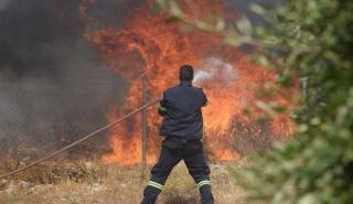 Πάτρα: Ενισχύονται οι δυνάμεις πυρόσβεσης στην περιοχή Κάλφα Αχαΐας