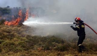 Πυρκαγιά σε δασική έκταση στον Βαρνάβα Αττικής - Άμεσα τέθηκε υπό έλεγχο