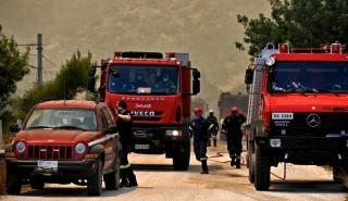 Έβρος: Πυρκαγιά σε χαμηλή βλάστηση κοντά στην περιοχή της Κορνοφωλιάς