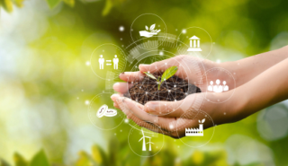 Green Stories 2023