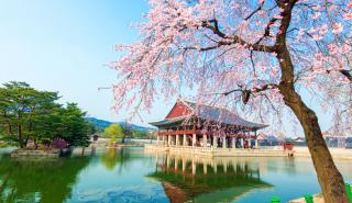 Η Νότια Κορέα προσφέρει δωρεάν διακοπές - Πώς να κάνετε αίτηση