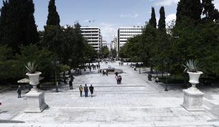 Δήμος Αθηναίων: Διαρκείς παρεμβάσεις για την καταπολέμηση των τρωκτικών στην πλατεία Συντάγματος