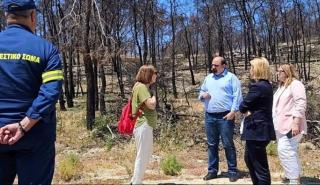 Τριαντόπουλος από Ρόδο: Ξεπερνά τα 30 εκατ. το σχέδιο στήριξης και αποκατάστασης μετά την πυρκαγιά του καλοκαιριού