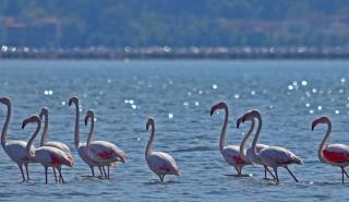 Περισσότεροι από το ένα τρίτο των υγρότοπων της Μεσογείου απειλούνται από την άνοδο της στάθμης των υδάτων