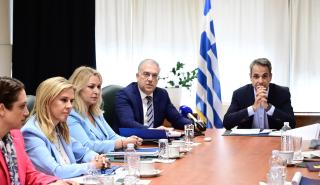 Θεοδωρικάκος: Συστράτευση δυνάμεων για να πέσουν οι τιμές - Βασικοί παίκτες της αγοράς πρέπει να βάλουν πλάτη