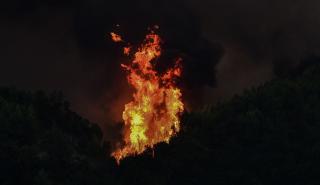 Μεγάλη δυναμική στο πύρινο μέτωπο της Ηλείας: Ολονύχτια μάχη με τις φλόγες - Μπαράζ εκκενώσεων
