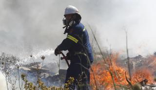 Πυροσβεστική: 54 πυρκαγιές το τελευταίο 24ωρο σε όλη τη χώρα