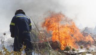 Πυρκαγιά σε χαμηλή βλάστηση στο Αριοχώρι Μεσσηνίας