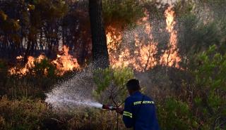Ολονύχτια μάχη με τις φλόγες στη Σταμάτα- Ένας νεκρός από ανακοπή