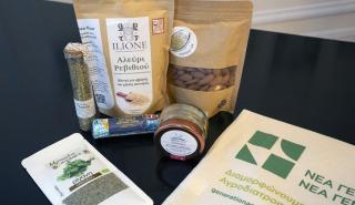 “Seeds of Change” εκδήλωση στη Νέα Υόρκη για τη Νέα Γεωργία Νέα Γενιά