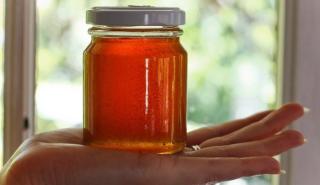 Κλιματική αλλαγή και ελληνοποιήσεις «χτυπούν» το ελληνικό μέλι