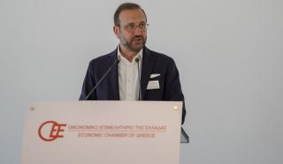 Κόλλιας: Άμεση έκδοση υπουργικών αποφάσεων και συνεργασία των υπουργείων για το ΑΠΔΕ