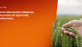 ΔΕΗ: Αγροτικά προϊόντα «ΓΑΙΑ» από 0,093€/KWh σταθερή τιμή για 2 χρόνια - Έως 26/6 οι αιτήσεις