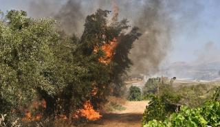 Θεσσαλονίκη: Υπό μερικό έλεγχο η φωτιά στην Πλάκα Λιτοχώρου