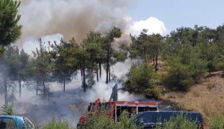 Υπό πλήρη έλεγχο οι φωτιές σε Χαλκιδική και Κιλκίς