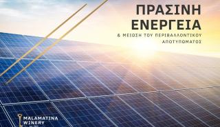 Οινοποιία Μαλαματίνα: Πράσινη ενέργεια και μείωση του περιβαλλοντικού αποτυπώματος
