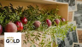 Μπαίνουν στα ράφια των σούπερ μάρκετ τα νέα premium ροδάκινα του ΑΣΕΠΟΠ Βελβεντού