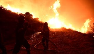 Σε εξέλιξη πυρκαγιά στη Νάξο - Μεγάλη κινητοποίηση της Πυροσβεστικής