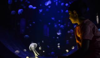 Εκδηλώσεις για τα 30 χρόνια του EEA Grants στην Ελλάδα